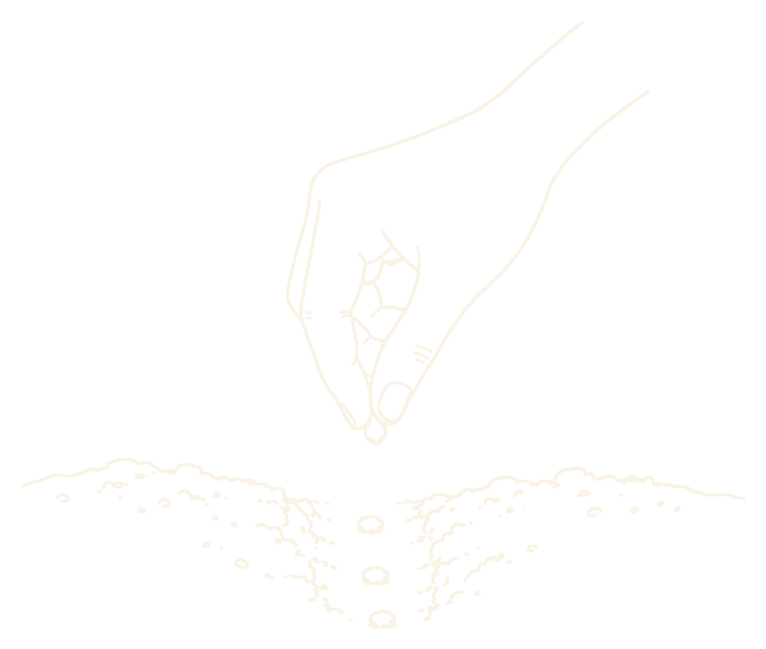 A hand planting seeds in soil